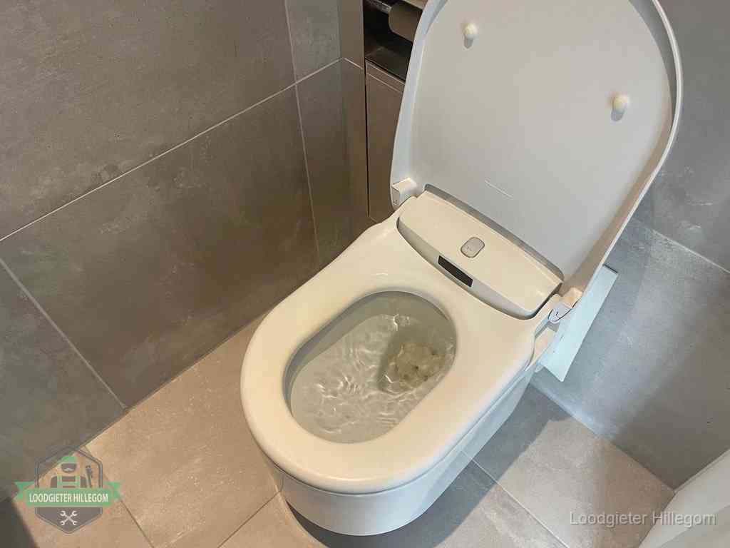 Wc Verstopt In Hillegom Wc Verstopt In Hillegom
